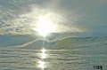 DSC_0054 copie